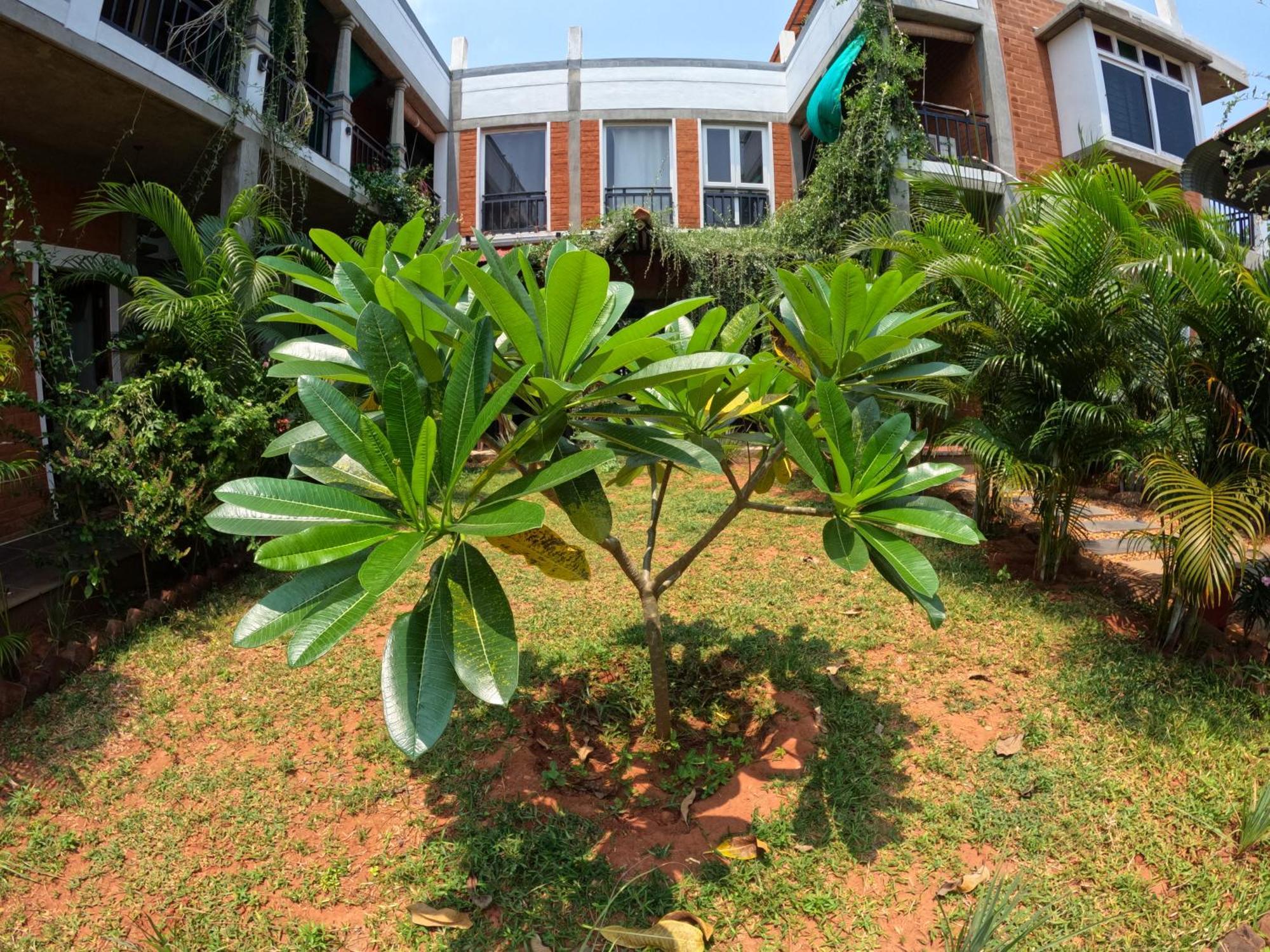 Wow Farm House Auroville Exterior photo